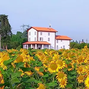 la-collinetta-bb.emilia-romagnahotels.net/