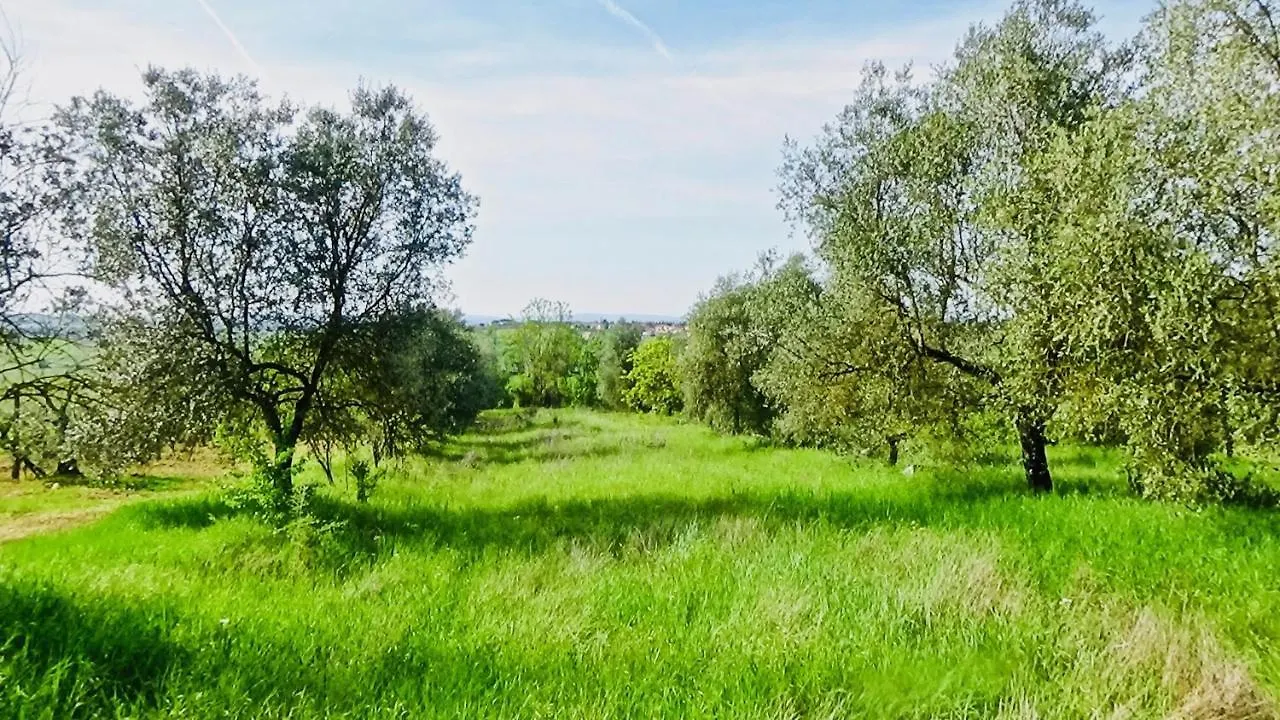 L'Ultima Thule Villa Montepulciano Italy