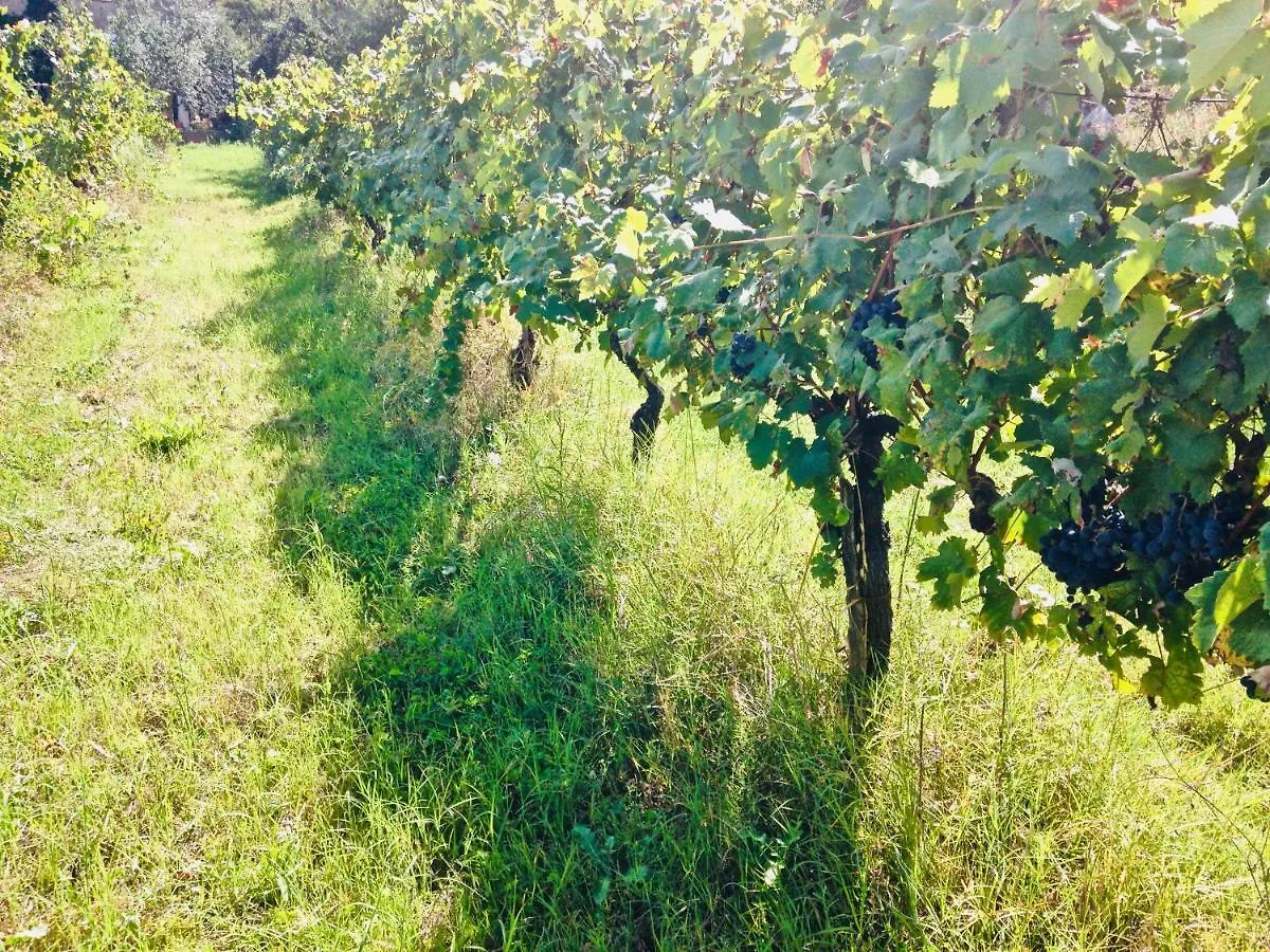 Farm stay L'Ultima Thule Villa Montepulciano